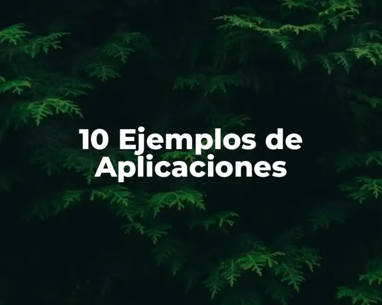 10 Ejemplos de Aplicaciones