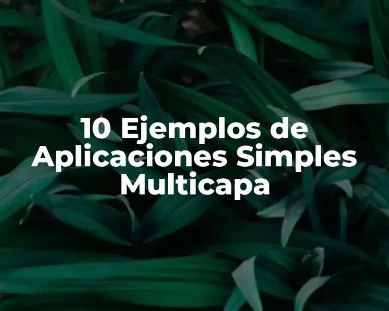 10 Ejemplos de Aplicaciones Simples Multicapa