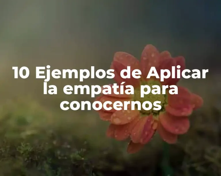 10 Ejemplos de Aplicar la empatía para conocernos