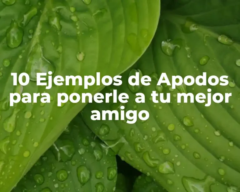 10 Ejemplos de Apodos para ponerle a tu mejor amigo
