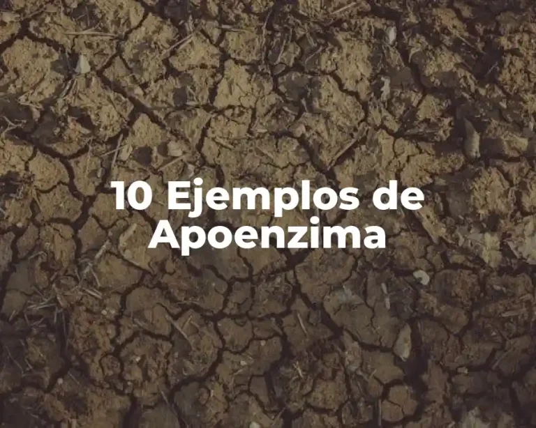 10 Ejemplos de Apoenzima