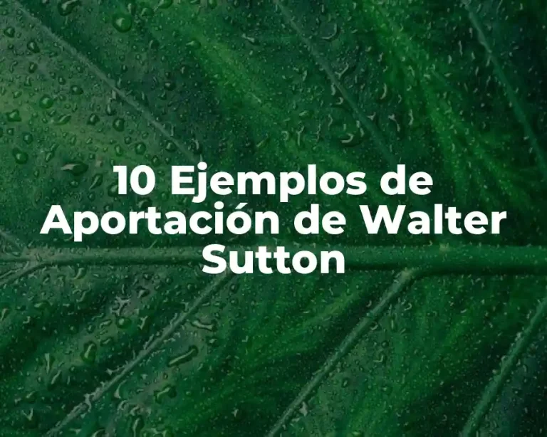 10 Ejemplos de Aportación de Walter Sutton