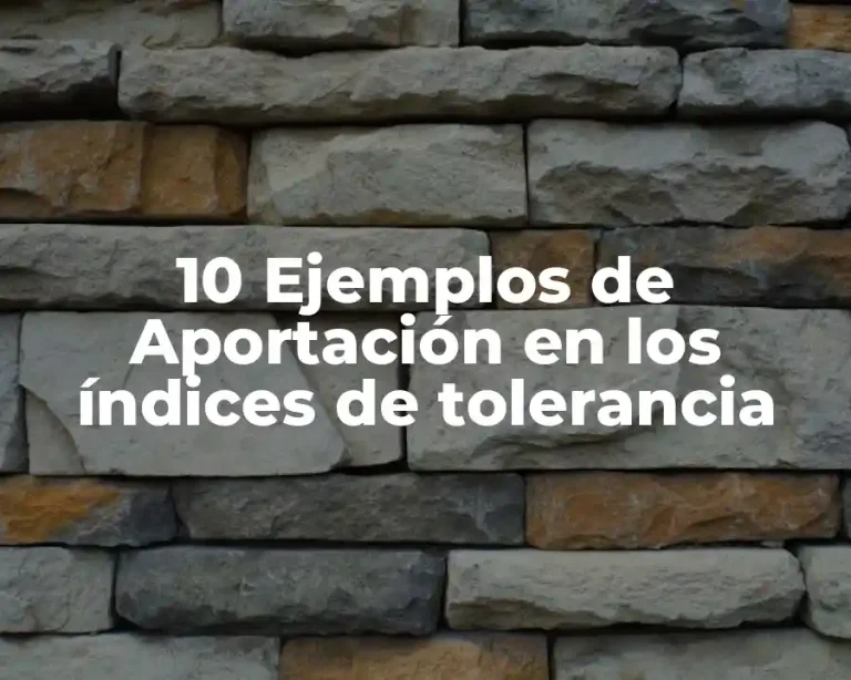 10 Ejemplos de Aportación en los índices de tolerancia
