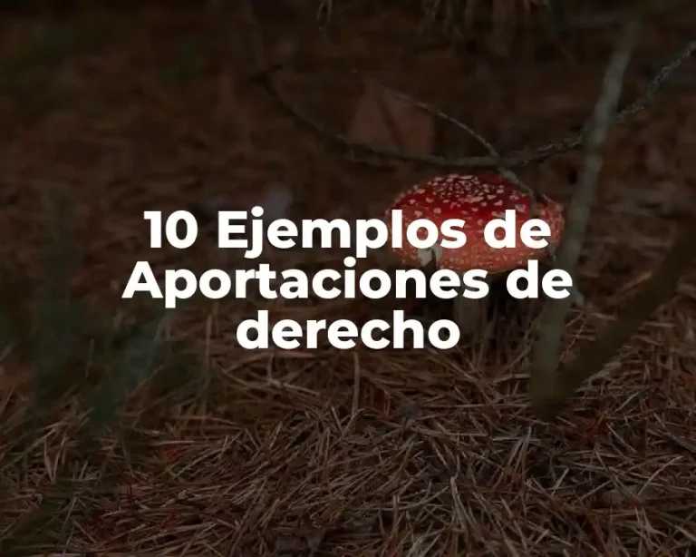 10 Ejemplos de Aportaciones de derecho