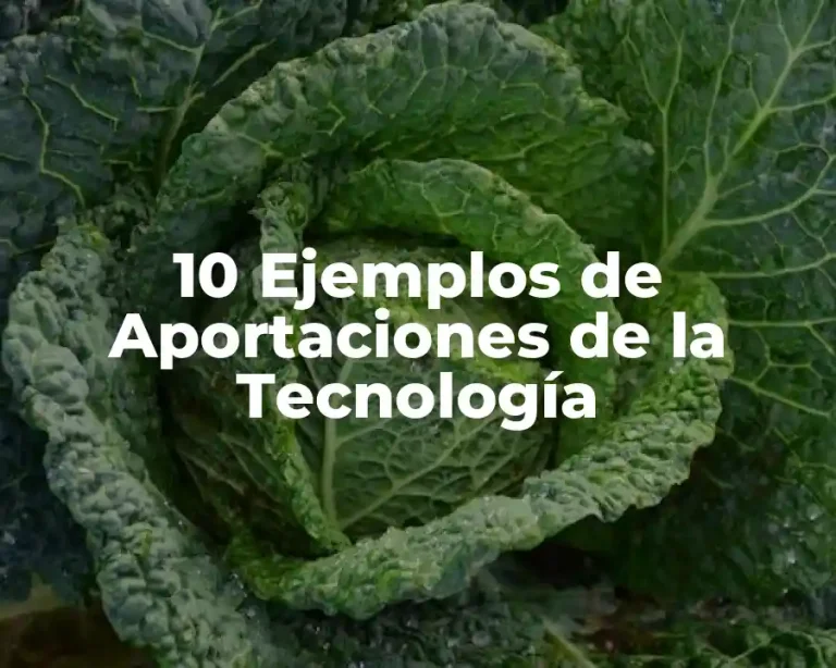 10 Ejemplos de Aportaciones de la Tecnología