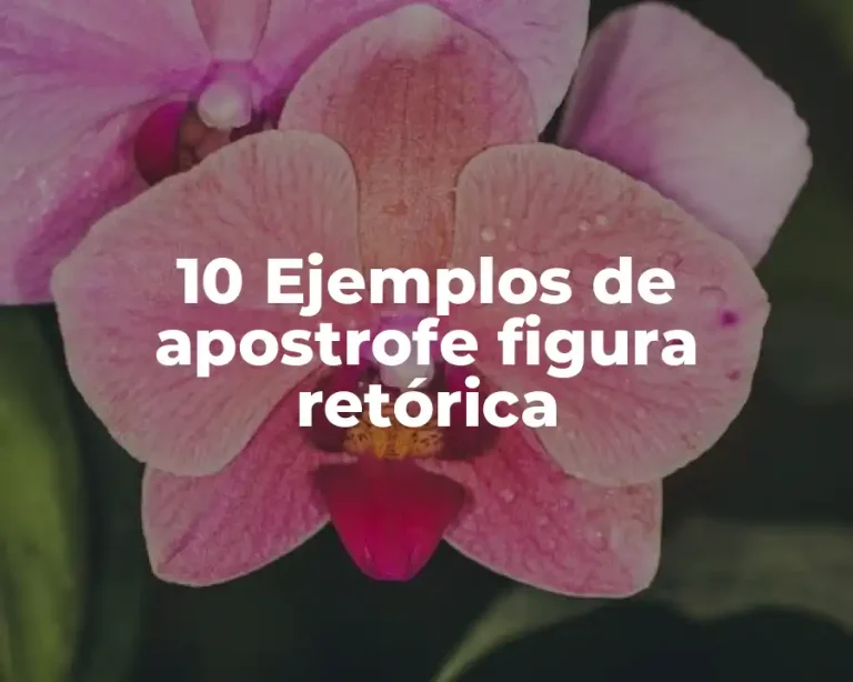 10 Ejemplos de apostrofe figura retórica