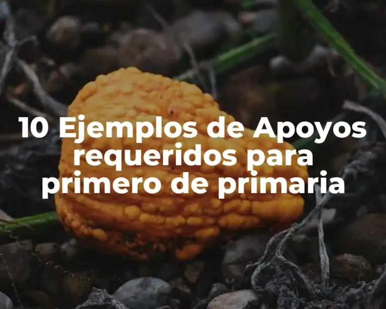 10 Ejemplos de Apoyos requeridos para primero de primaria