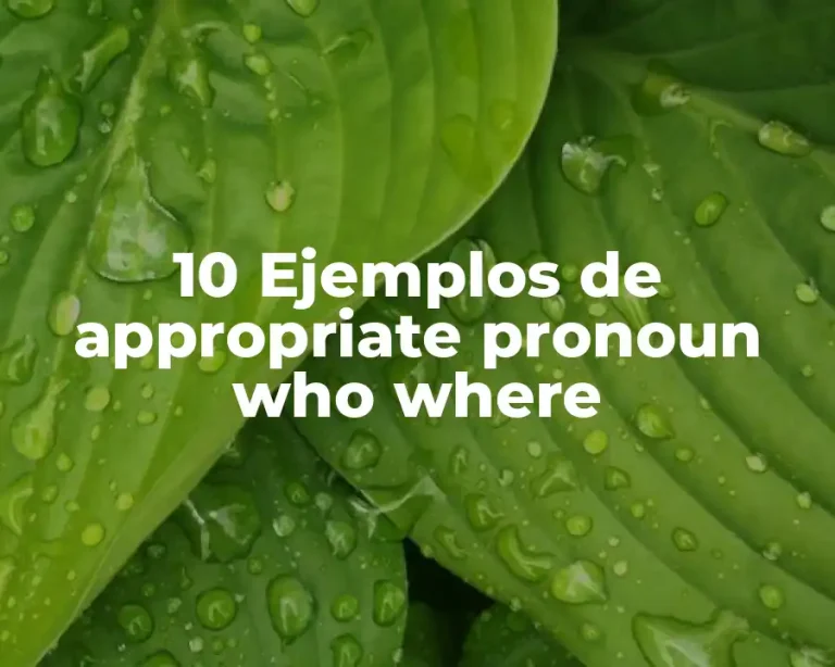 10 Ejemplos de appropriate pronoun who where