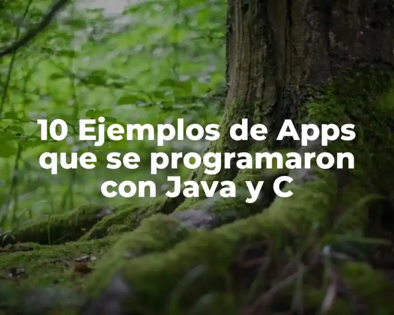 10 Ejemplos de Apps que se programaron con Java y C