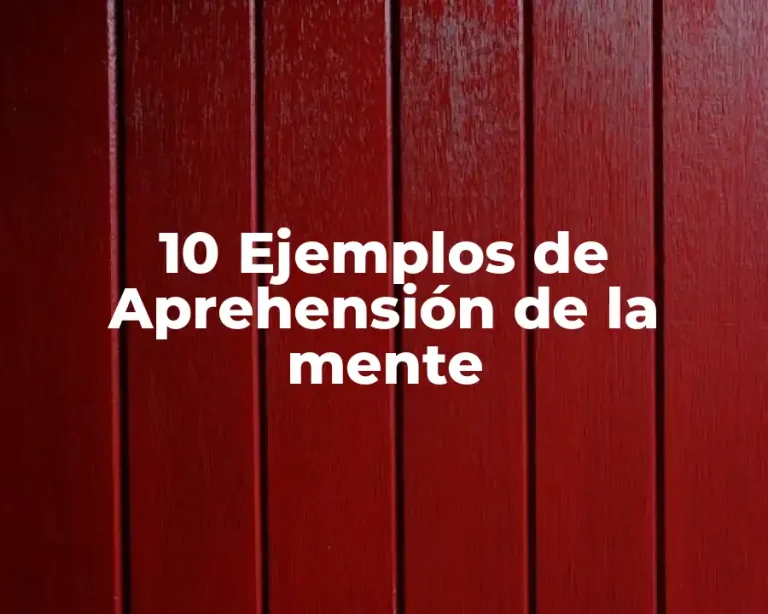 10 Ejemplos de Aprehensión de la mente