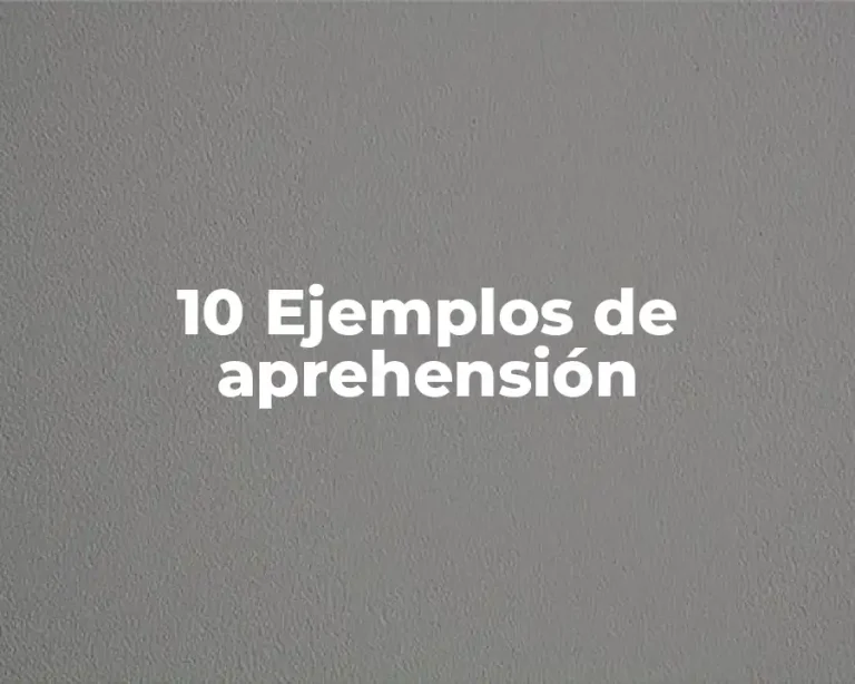 10 Ejemplos de aprehensión