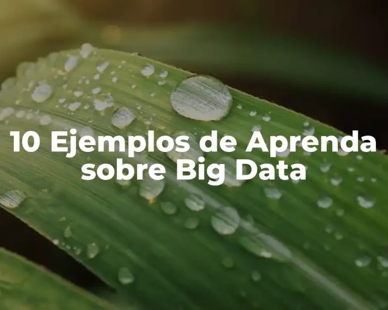 10 Ejemplos de Aprenda sobre Big Data