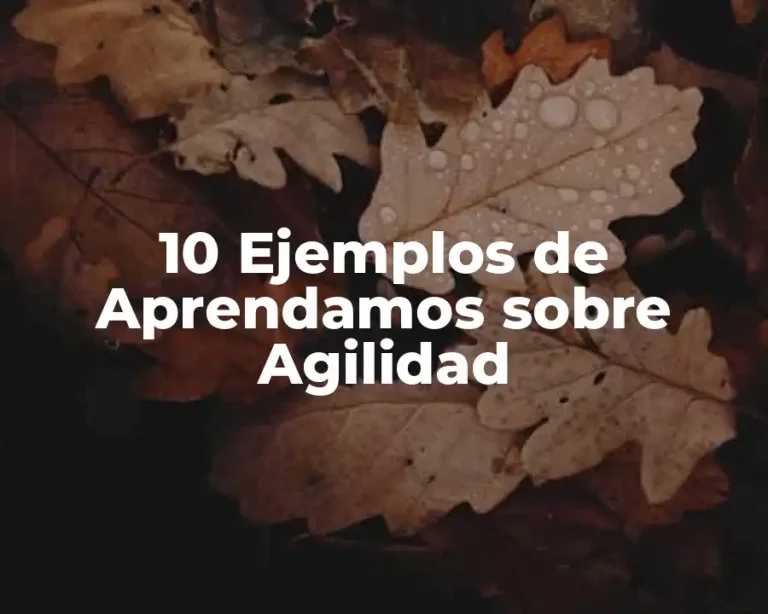 10 Ejemplos de Aprendamos sobre Agilidad