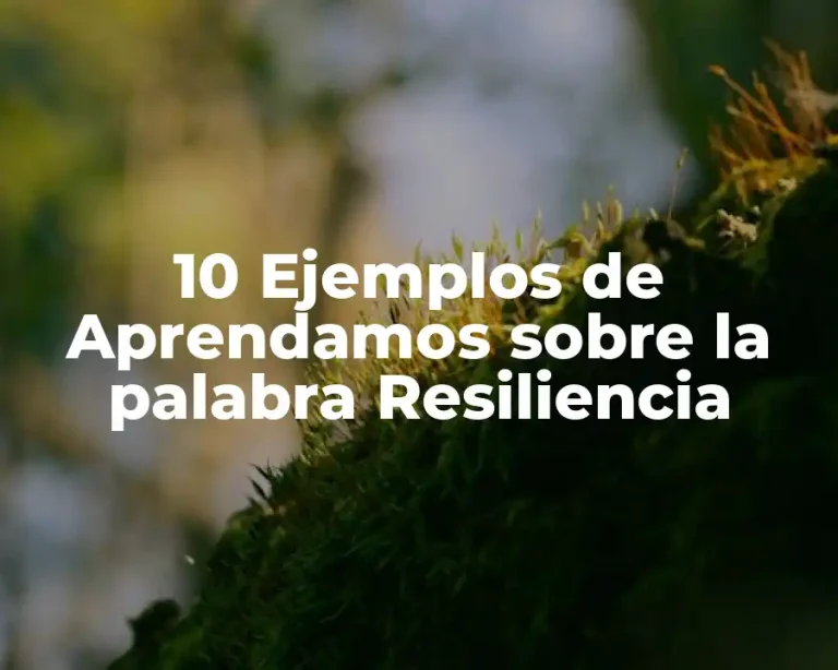 10 Ejemplos de Aprendamos sobre la palabra Resiliencia
