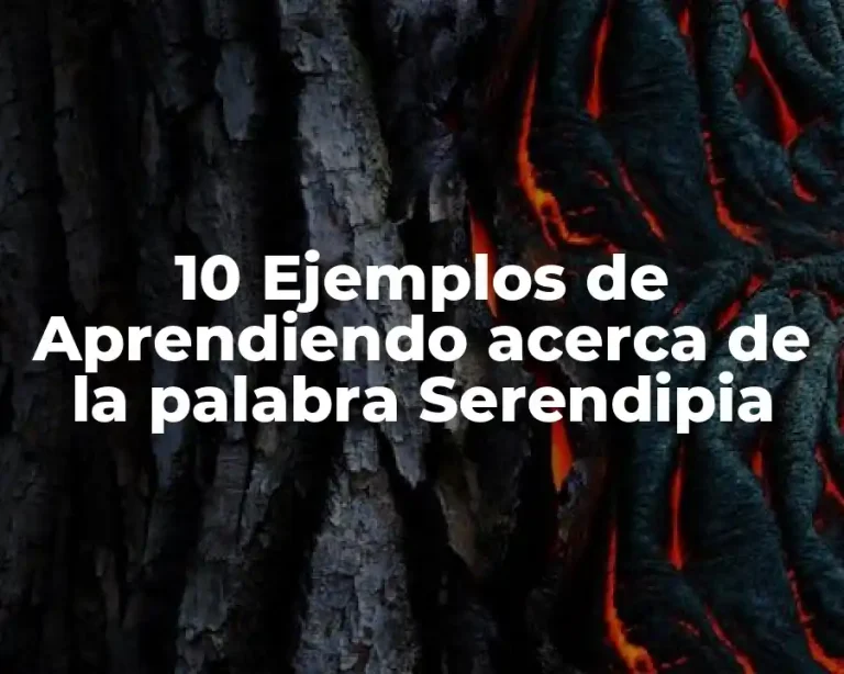 10 Ejemplos de Aprendiendo acerca de la palabra Serendipia