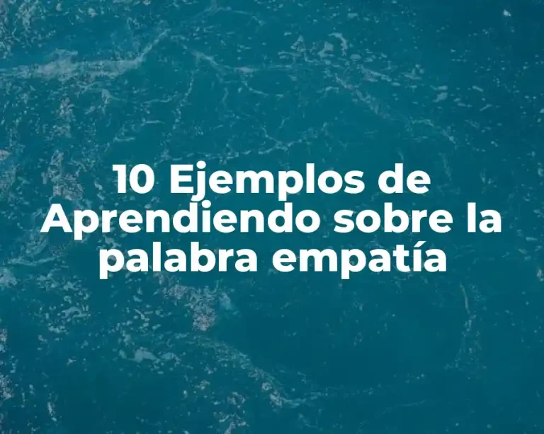 10 Ejemplos de Aprendiendo sobre la palabra empatía