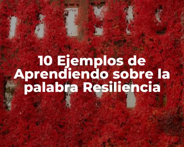 10 Ejemplos de Aprendiendo sobre la palabra Resiliencia