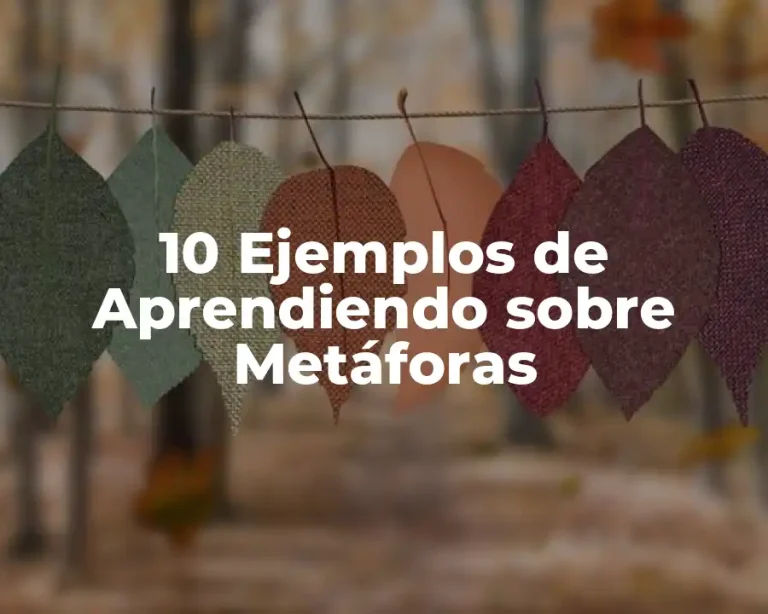 10 Ejemplos de Aprendiendo sobre Metáforas