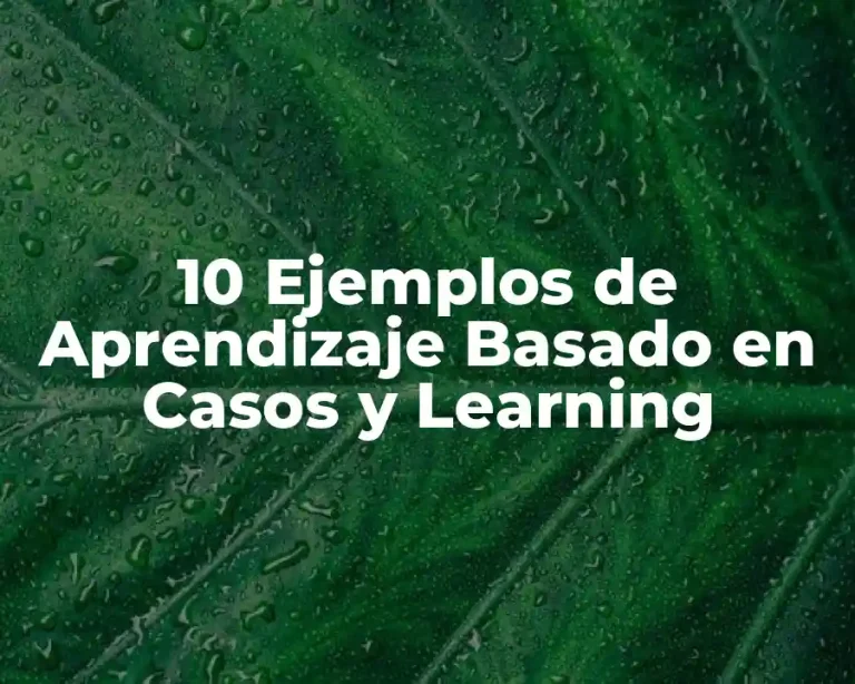 10 Ejemplos de Aprendizaje Basado en Casos y Learning