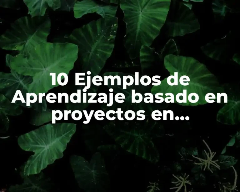10 Ejemplos de Aprendizaje basado en proyectos en secundaria