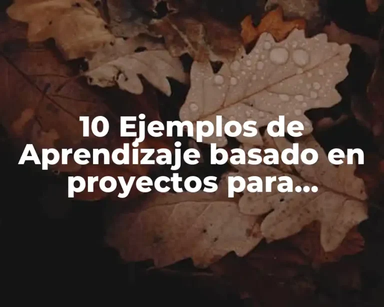 10 Ejemplos de Aprendizaje basado en proyectos para matemáticas