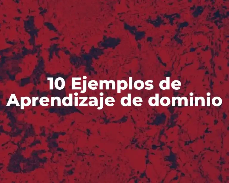 10 Ejemplos de Aprendizaje de dominio