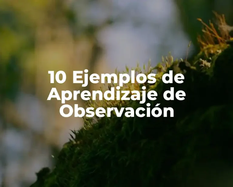 10 Ejemplos de Aprendizaje de Observación