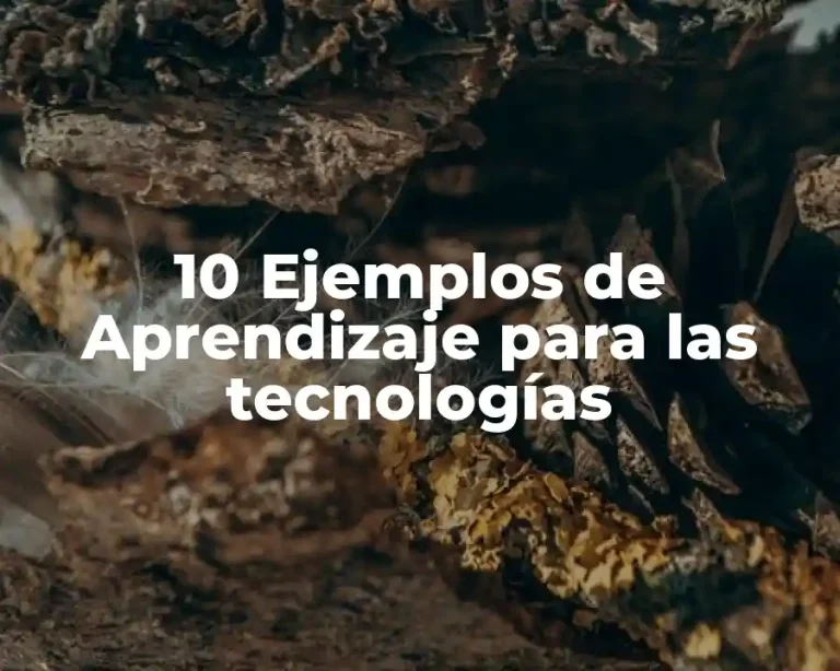 10 Ejemplos de Aprendizaje para las tecnologías