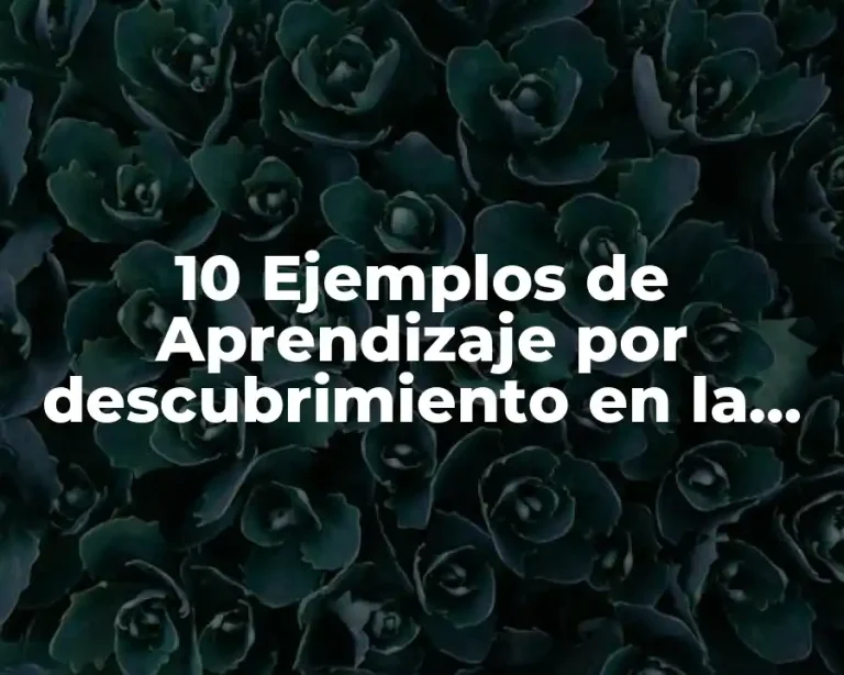 10 Ejemplos de Aprendizaje por descubrimiento en la escuela