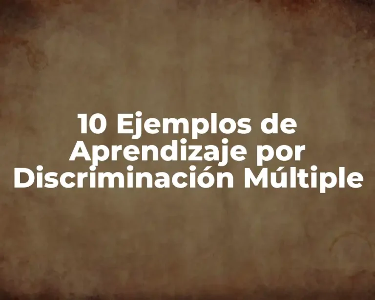 10 Ejemplos de Aprendizaje por Discriminación Múltiple