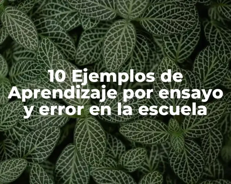 10 Ejemplos de Aprendizaje por ensayo y error en la escuela