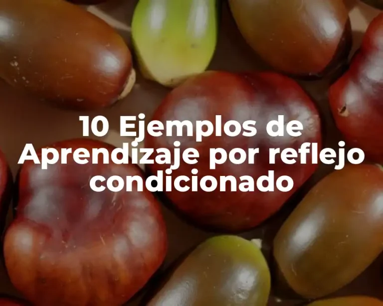 10 Ejemplos de Aprendizaje por reflejo condicionado