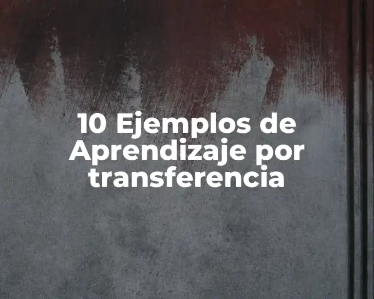 10 Ejemplos de Aprendizaje por transferencia