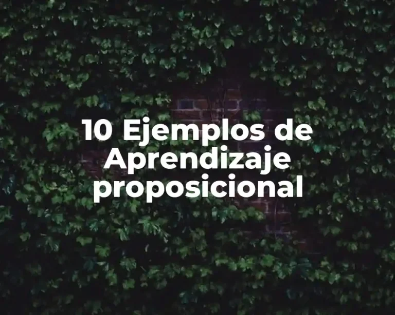10 Ejemplos de Aprendizaje proposicional