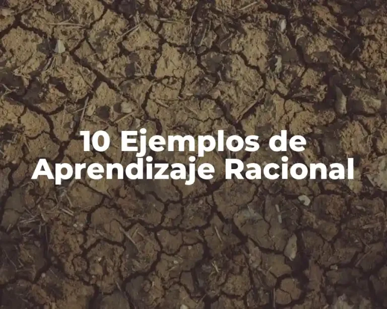 10 Ejemplos de Aprendizaje Racional