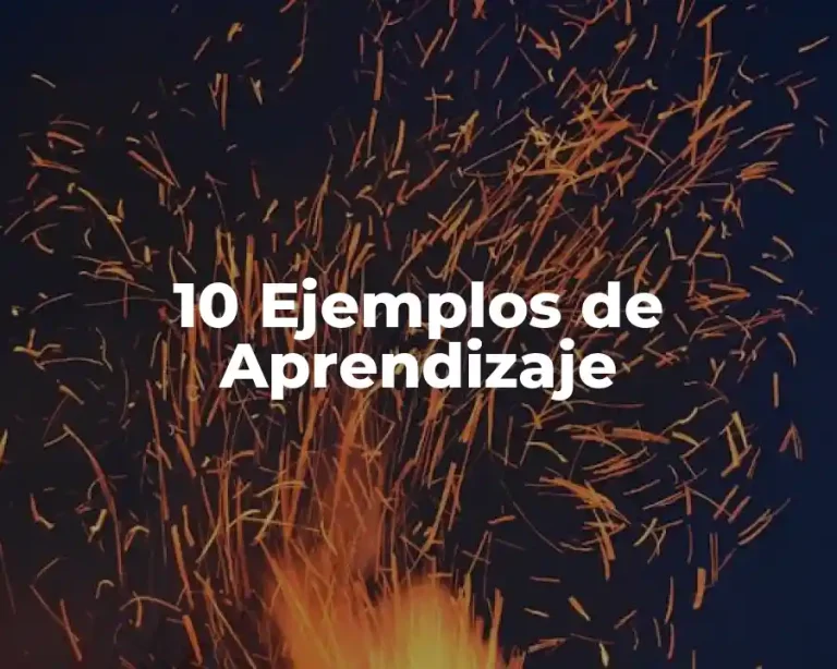 10 Ejemplos de Aprendizaje