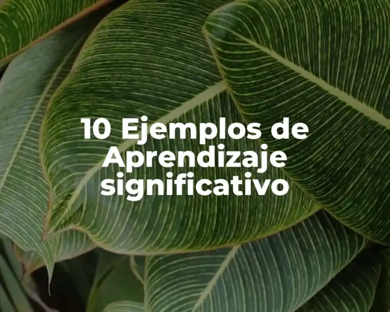 10 Ejemplos de Aprendizaje significativo