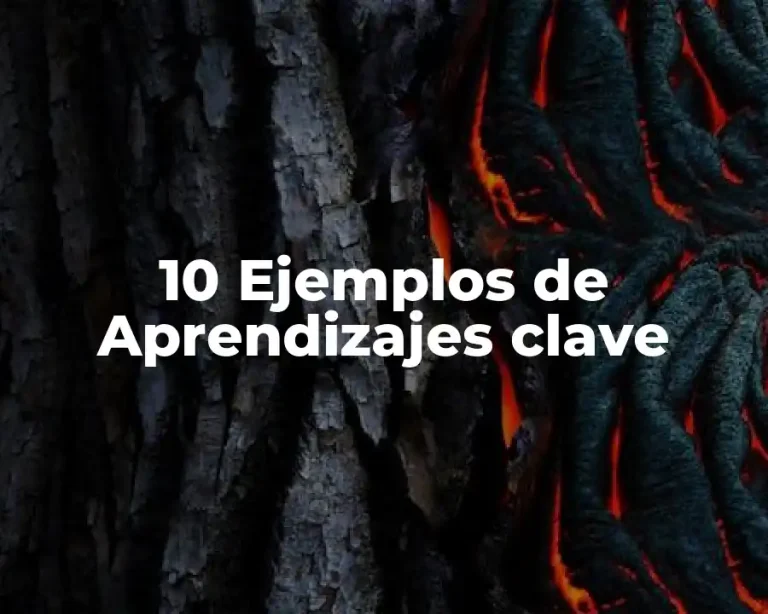 10 Ejemplos de Aprendizajes clave