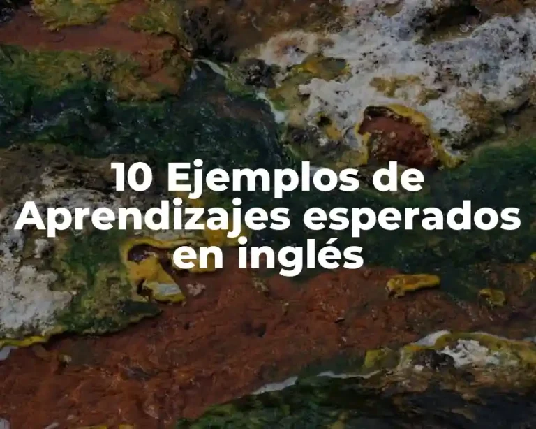 10 Ejemplos de Aprendizajes esperados en inglés