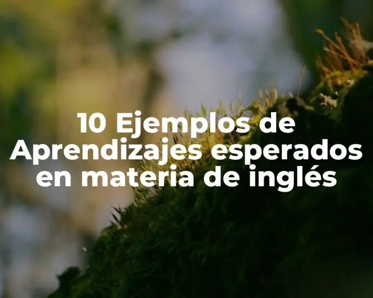 10 Ejemplos de Aprendizajes esperados en materia de inglés