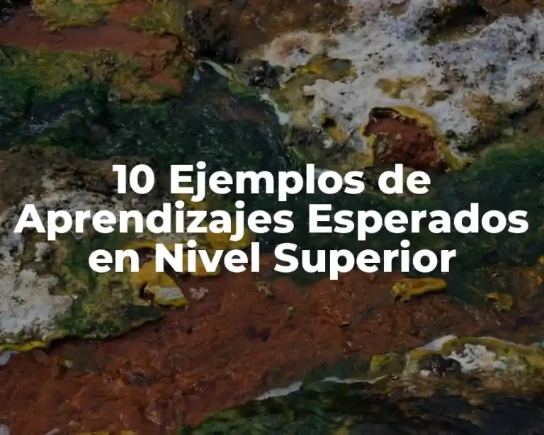 10 Ejemplos de Aprendizajes Esperados en Nivel Superior