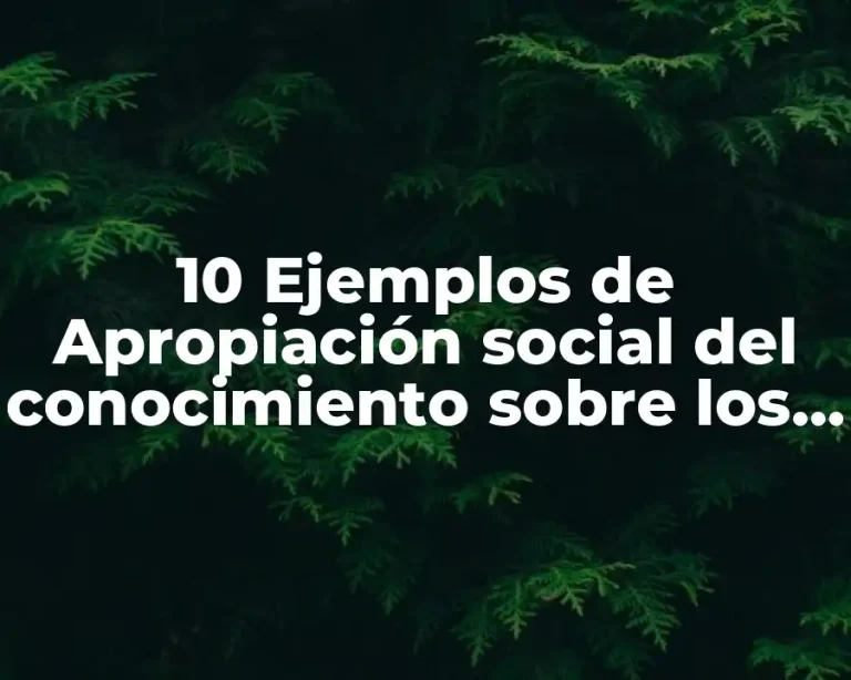 10 Ejemplos de Apropiación social del conocimiento sobre los sanitarios