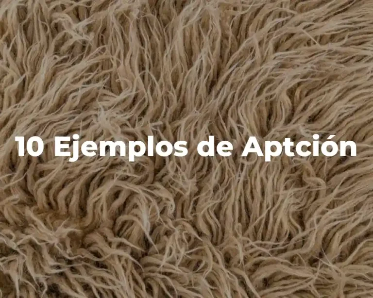 10 Ejemplos de Aptción