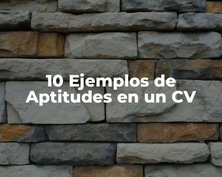 10 Ejemplos de Aptitudes en un CV