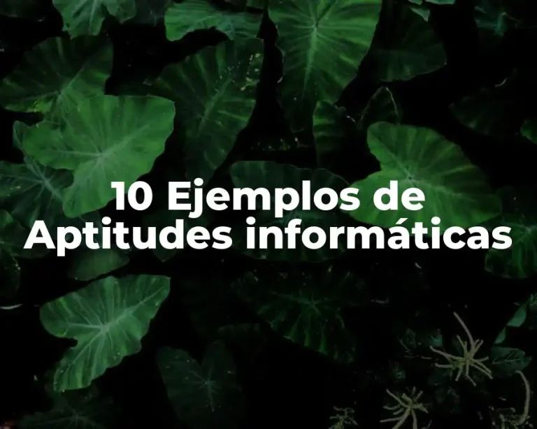 10 Ejemplos de Aptitudes informáticas