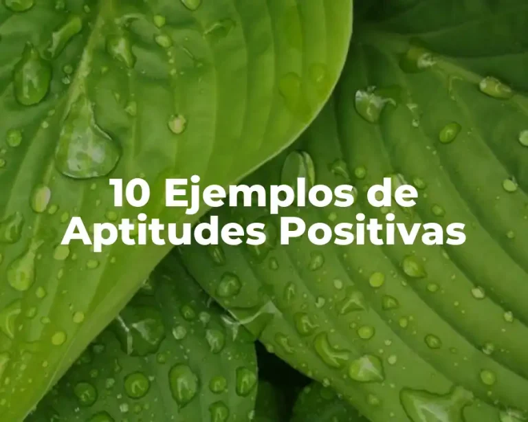 10 Ejemplos de Aptitudes Positivas