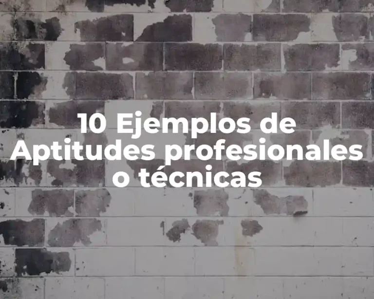 10 Ejemplos de Aptitudes profesionales o técnicas
