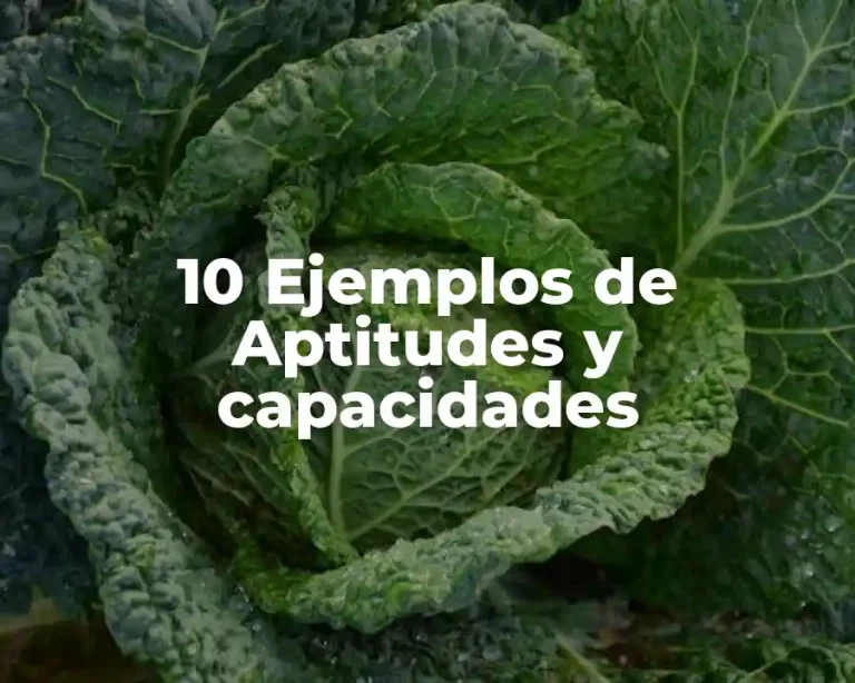 10 Ejemplos de Aptitudes y capacidades