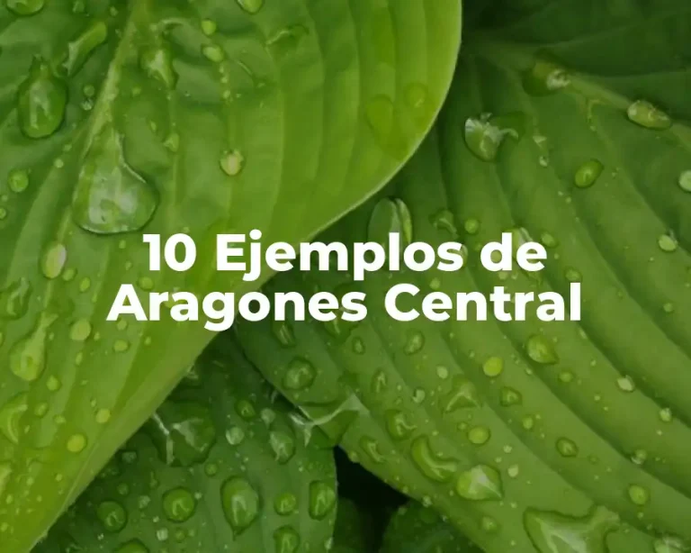10 Ejemplos de Aragones Central