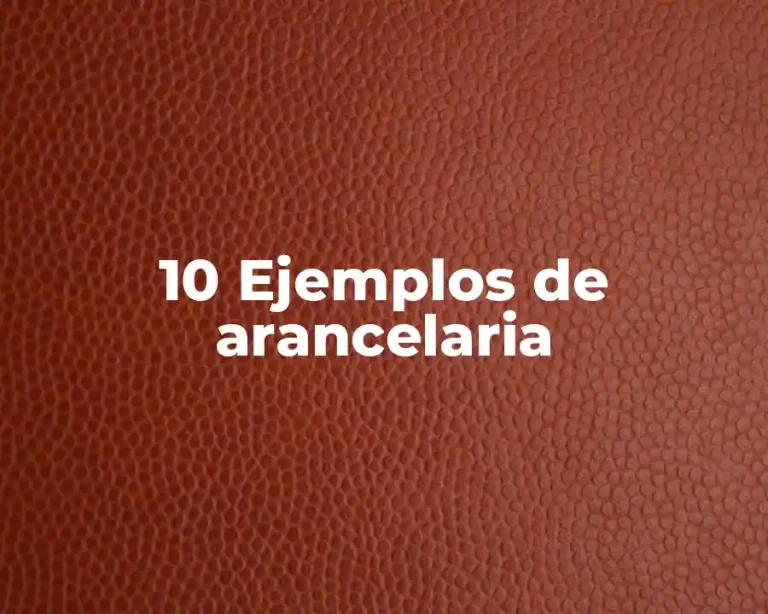 10 Ejemplos de arancelaria